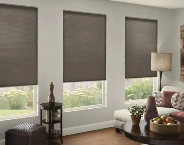 Pros and Cons of Honeycomb Blinds